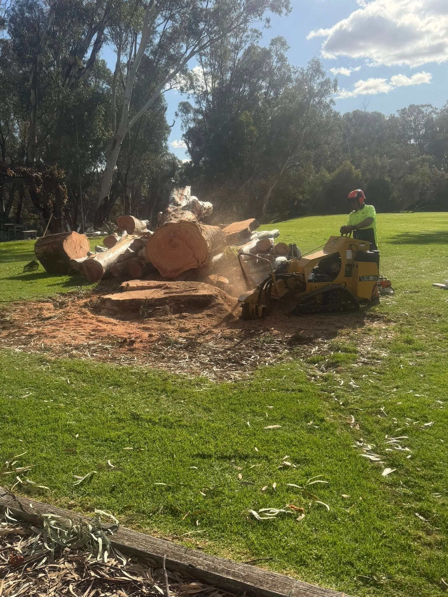 Removal by Luke Dinan Turf & Tree Care